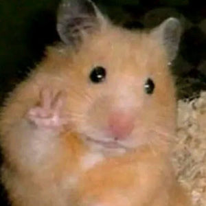 Meet your Posher, Brandy